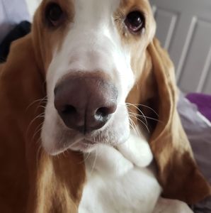 Meet your Posher, Liza